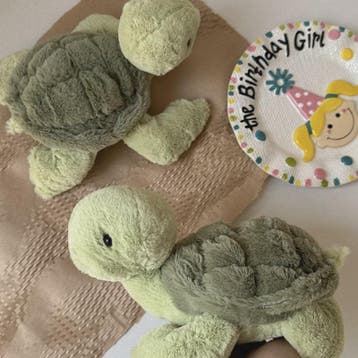 Realistische Schildpad Knuffel - Zachte Zeeturtle Pluche Die, Verzenden, Nieuw