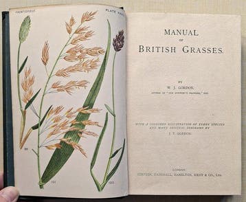 W.J. Gordon - Manual of British Grasses - 1905