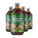 Kalanchoë vloeibare meststof - Set 4x1 liter, Verzenden, Mest