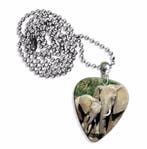 Plectrum ketting of sleutelhanger van een Olifant, Ophalen of Verzenden, Nieuw