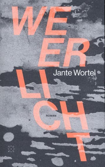 Weerlicht - Jante Wortel 9789493168848, Verzenden, Zo goed als nieuw, Jante Wortel