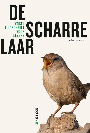 De Scharrelaar - 2019/2 |  | Nieuw, Ophalen of Verzenden, Nieuw