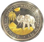 Somalische Olifant  1 kg 2017 Golden Enigma, Postzegels en Munten, Munten | Afrika, Verzenden, Overige landen, Losse munt, Zilver