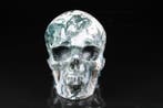 *Memento Mori* mosagaat schedel Gesneden schedel - - - 9.7