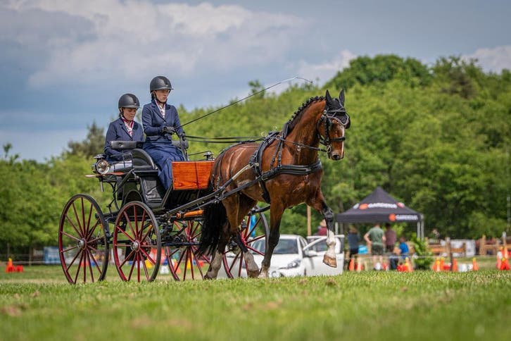 SAM Mentuigen, Dieren en Toebehoren, Paarden en Pony's | Hoofdstellen en Tuigage, Overige soorten, Nieuw
