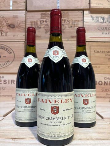1995 Faiveley Les Cazetiers - Gevrey Chambertin 1er Cru -, Nieuw