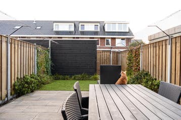 SPUUT Kattengaas 1x30 meter inclusief beugels - Voordeelset, Verzenden, Nieuw