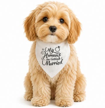 Honden bandana My Humans are getting Married, Ophalen of Verzenden, Nieuw, Overige typen