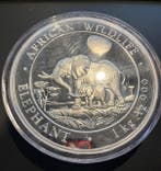 Somalische Olifant 1 kg 2011, Postzegels en Munten, Munten | Afrika, Verzenden, Overige landen, Losse munt, Zilver