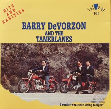 cd - Barry DeVorzon And The Tamerlanes - Hits And Rarities, Verzenden