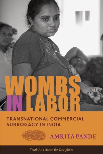 Wombs in Labor - Amrita Pande 9780231169912, Verzenden, Gelezen, Amrita Pande