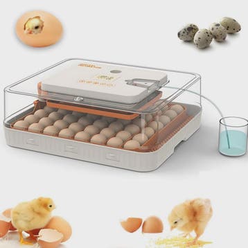 Automatische Broedmachine voor 56 Eieren met LED Candler & T, Dieren en Toebehoren, Pluimvee | Toebehoren, Verzenden, Nieuw