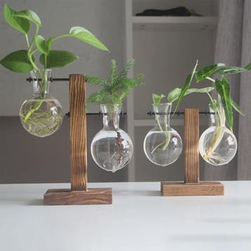 Glazen Vaas met Houten Standaard - Hydroponische Plantenbak, Verzenden, Nieuw in verpakking