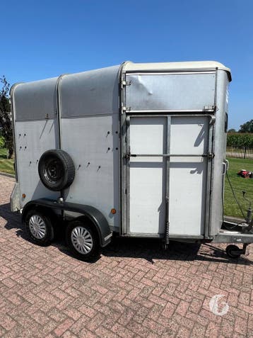 Degelijke Ifor Williams 2 Paards Paardentrailer!, Ophalen, Zo goed als nieuw, Overige materialen, 2-paards trailer