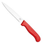 RÖR Solingen Groentemes – RVS – Lemmet 14,5 cm – Heft, Ophalen of Verzenden, Nieuw, Rvs of Chroom, Los bestek