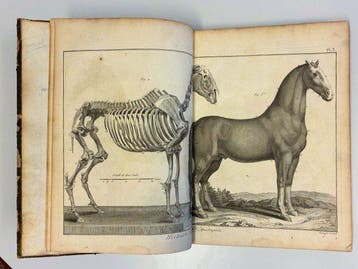 Anselme-Gaëtan Desmarest / Robert Bénard - Encyclopédie