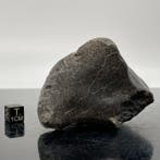 Eucriet van de VESTA-asteroïde, NWA 13940, met krimpkorst,