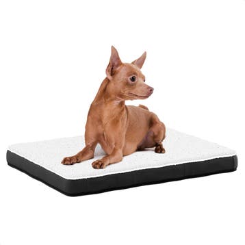 Avalo Orthopedisch Hondenkussen S - 45x65cm-Wasbaar/Antislip, Verzenden, Nieuw