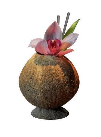 Cocktail Beker | Kokosnoot |  9x13cm, Verzenden
