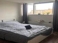 Kamer Koeriersterweg in Groningen, Overige soorten, Groningen