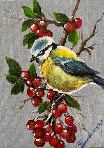 Tomasz Bednarski (1965) - Great tit