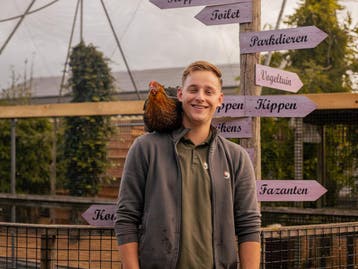 Mooie sierkippen | Ingeënt en gezonde kippen, goed advies, Dieren en Toebehoren, Pluimvee, Meerdere dieren, Kip