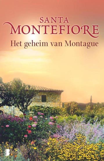 Het Geheim Van Montague - Montefiore, Verzenden, Gelezen