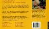 Zeslettergrepigheid 9789038891026 Drs. P., Verzenden, Gelezen, Drs. P.