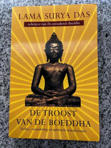 De troost van de Boeddha, Boeken, Godsdienst en Theologie, Gelezen, Lama Surya Das, Verzenden, Boeddhisme