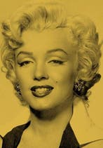 Silver Marilyn | 9783829609524 | George Belmont, Boeken, Zo goed als nieuw, George Belmont