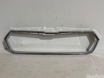 Skoda Enyaq Chrome Grille 5LA853761B, Auto-onderdelen, Ophalen, Gebruikt, Voor