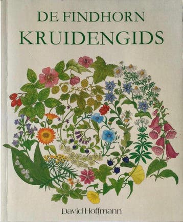 Nieuwe Holistische Kruidengids 9789062717125 D. Hoffmann, Boeken, Verzenden, Gelezen, D. Hoffmann
