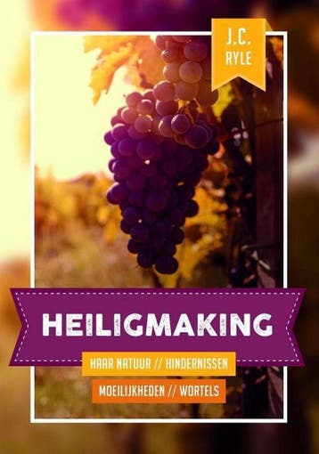 Ryle, Heiligmaking - J.C. Ryle 9789463350174, Boeken, Verzenden, Gelezen, J.C. Ryle