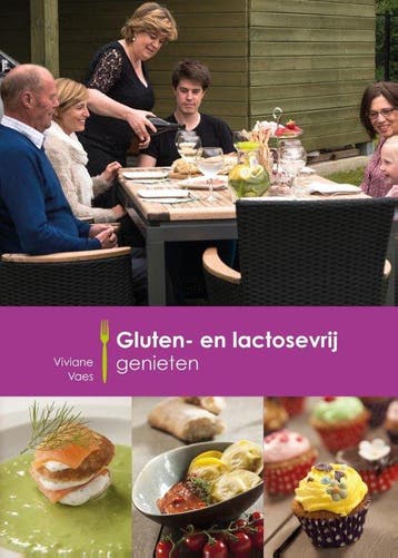9789082491524 Gluten- en lactosevrij genieten | Tweedehands, Verzenden, Zo goed als nieuw, Viviane Vaes