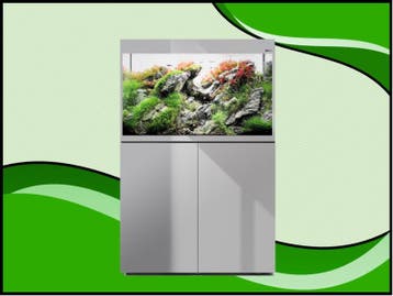 Aquael Glossy 80 grijs aquarium set inclusief Glossy meubel, Verzenden, Nieuw