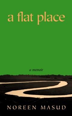 A Flat Place - Noreen Masud 9780241544051, Verzenden, Zo goed als nieuw, Noreen Masud
