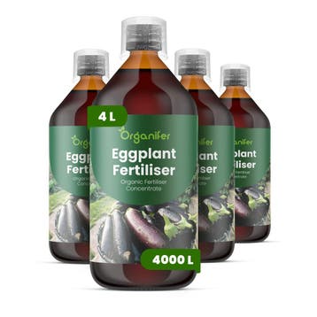 Aubergine Vloeibare Meststof - 4x1 liter, Verzenden, Mest