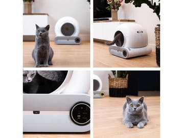 Cellavi Automatische Kattenbak - Zelfreinigende Kattenbak -, Verzenden, Nieuw
