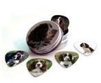 Blikje + plectrums afbeelding Engelse Springer Spaniel hond, Ophalen of Verzenden, Nieuw