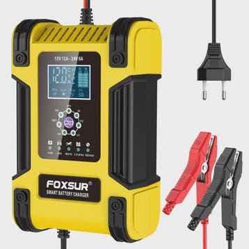 Foxsur Slimme Automatische Acculader 12V/24V met Digitaal Di, Auto-onderdelen, Verzenden, Nieuw