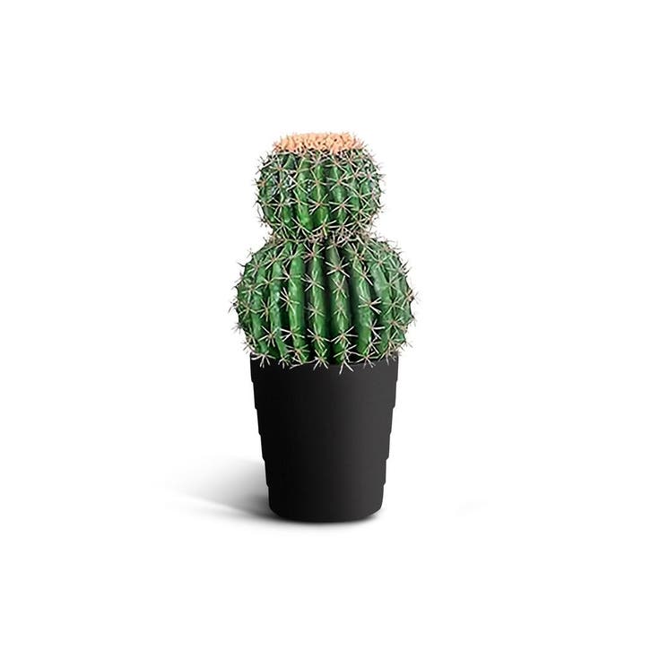 IvoQ Kunst Cactus 50 cm, Huis en Inrichting, Woonaccessoires | Kunstplanten en Kunstbloemen, Nieuw, Verzenden