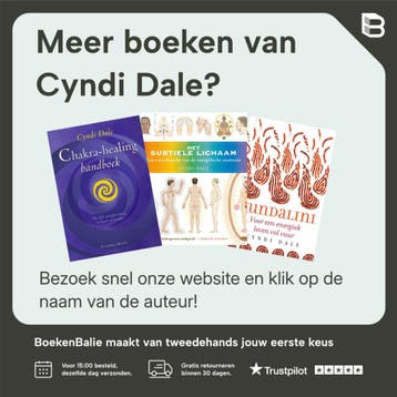 Licht op het hiernamaals - Cyndi Dale 9789069638447, Boeken, Verzenden, Zo goed als nieuw, Cyndi Dale