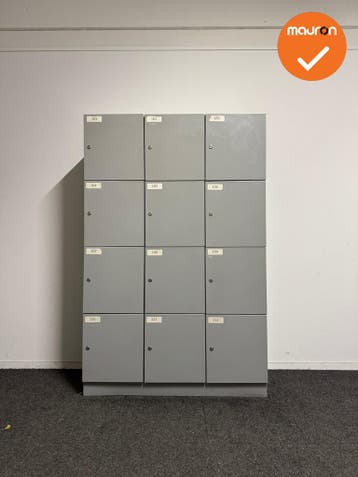 Lockerkast - zilvergrijs - 12 lockers, Werkplek, Ophalen of Verzenden, Gebruikt, Kast