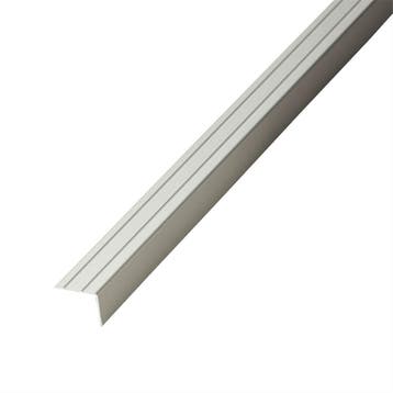 Co-pro Hoekprofiel Zelfklevend Duo - 25 mm - RVS - 1000 mm, Doe-het-zelf en Verbouw, Ophalen of Verzenden, Nieuw