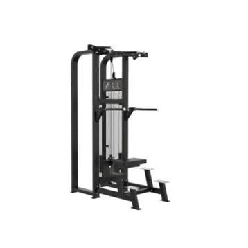 Gymfit - Custom-line - Assisted Chin Up Dip - C19, Sport en Fitness, Fitnessmaterialen, Ophalen of Verzenden, Nieuw