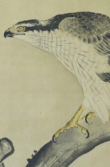 Absolute auction - Antique Japanese Hanging Scroll Hawk on