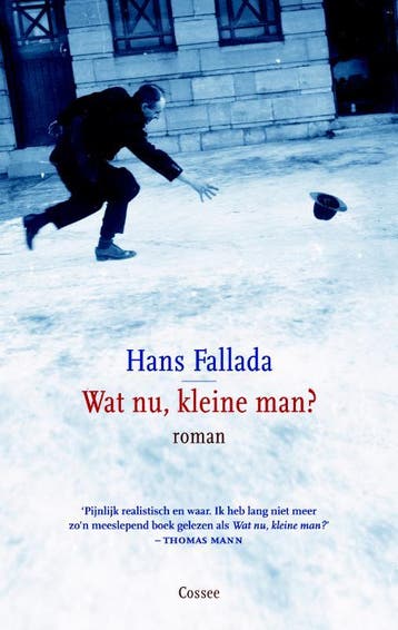 Wat nu, kleine man? - Hans Fallada 9789059363212, Verzenden, Gelezen, Hans Fallada