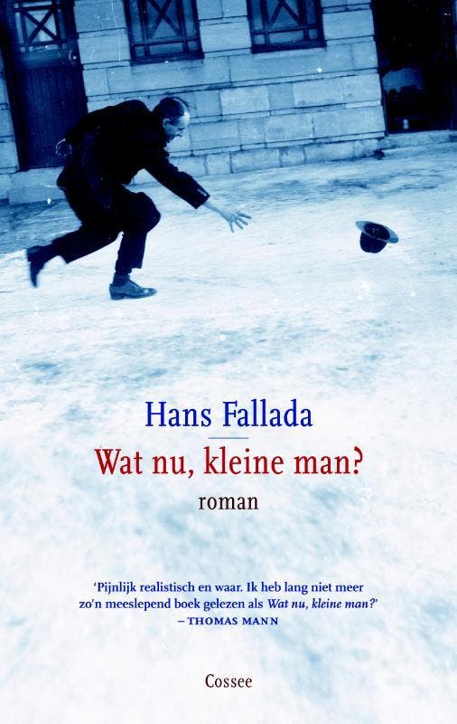 Wat nu, kleine man? - Hans Fallada 9789059363212, Boeken, Romans, Gelezen, Verzenden