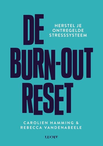 9789493272897 De burn-out reset | Tweedehands, Verzenden, Zo goed als nieuw, Carolien Hamming
