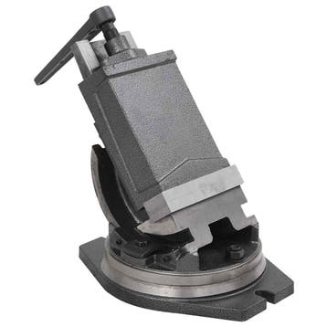 vidaXL Bankschroef met 2 assen kantelbaar 160 mm, Verzenden, Nieuw